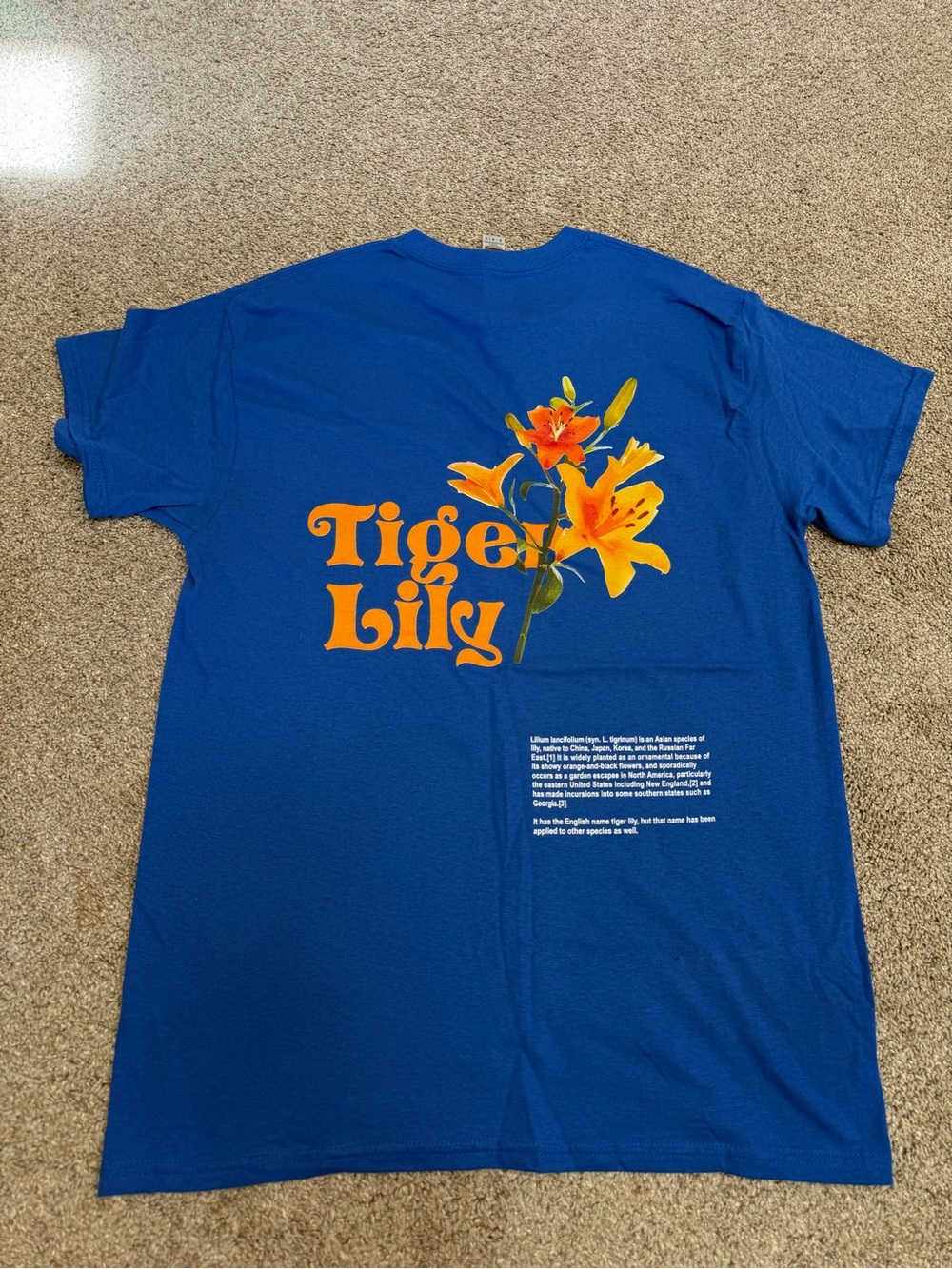 Graphic T-Shirt